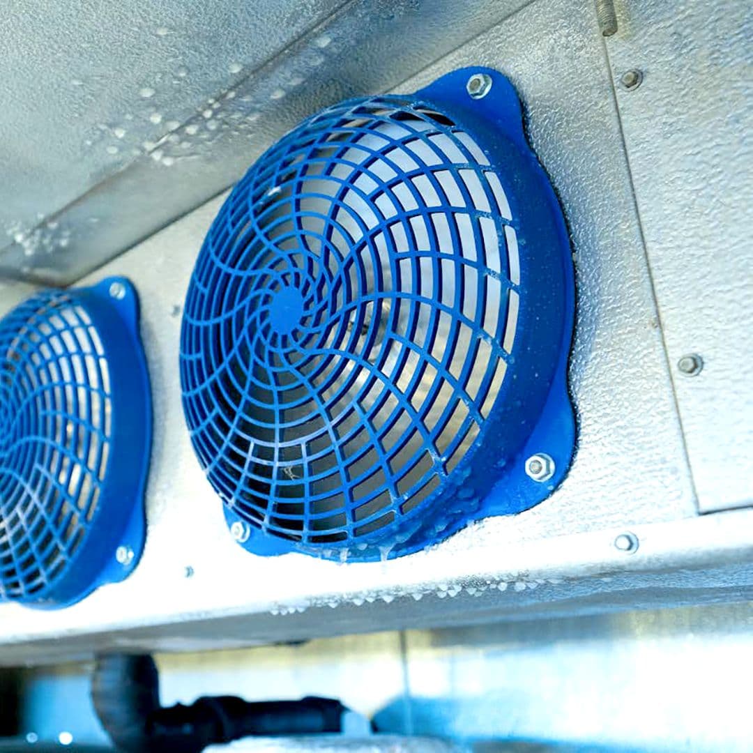 Fans + Motors